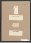 Surirella degenerans Cleve (de-Toni-Nr.: Genus 53, Species 2283) Zeichnungen Sammlung Grunow Nr. 4736 (NHMW-BOT-W0372840)